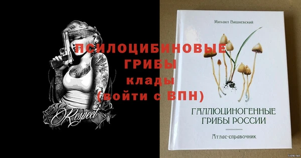 соль ск Волосово