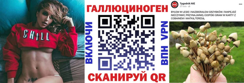 Псилоцибиновые грибы ЛСД  это телеграм  Зеленокумск 